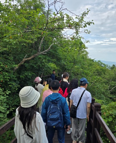 천년 주목 숲길을 탐방하고 있다.