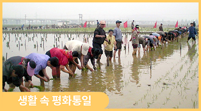 북한 청년의 농촌지원 에피소드