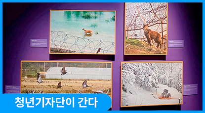 DMZ의 기억과 새로운 미래를 향한 ‘바람의 길목 DMZ’
